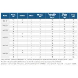 Bomba Submersível Bcs-220 1.0 Cv Trifásico Schneider - 2