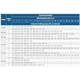 Bomba Submersível Bcs-220 1.0 Cv Trifásico Schneider - 3