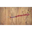 Ver imagem 7 de Guia para Cães em Corda Trançada 16mm X 35cm Vermelho/branco