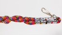 Ver imagem 4 de Guia para Cães em Corda Trançada 16mm X 35cm Vermelho/branco
