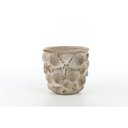 Ver imagem 1 de Cachepot Conchas P 11x10cm Marrom Cromus