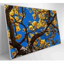 Ver mais imagens de Quadro Ipê Amarelo em Árvore do Cerrado