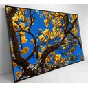 Ver imagem 2 de Quadro Ipê Amarelo em Árvore do Cerrado