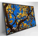 Ver imagem 7 de Quadro Ipê Amarelo em Árvore do Cerrado