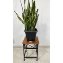 Ver imagem 7 de Banco quadrado luxo reforçado ferro madeira artesanal rústico