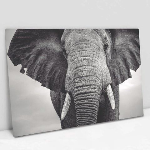 Quadro Decorativo em Canvas Elefante Preto e Branco - Moldura Madeira - 90 x 60cm