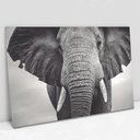 Ver imagem 1 de Quadro Decorativo em Canvas Elefante Preto e Branco - Moldura Madeira - 90 x 60cm