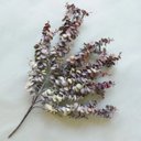 Ver imagem 1 de Buquê de Flores Eucalipto Outonado Artificial | Linha Permanente Formosinha