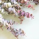 Ver imagem 2 de Buquê de Flores Eucalipto Outonado Artificial | Linha Permanente Formosinha