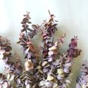 Ver imagem 4 de Buquê de Flores Eucalipto Outonado Artificial | Linha Permanente Formosinha