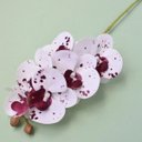 Ver imagem 4 de Flores Artificiais Haste de Orquídea Tigre 3D | Linha Permanente Formosinha