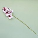 Ver imagem 3 de Flores Artificiais Haste de Orquídea Tigre 3D | Linha Permanente Formosinha