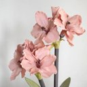 Ver imagem 3 de Flores Artificiais Arranjos de Flores Amarílis Rosa no Vaso Vidro Bronze | Linha Permanente