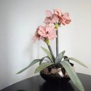 Ver imagem 2 de Flores Artificiais Arranjos de Flores Amarílis Rosa no Vaso Vidro Bronze | Linha Permanente