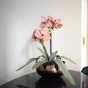 Ver imagem 4 de Flores Artificiais Arranjos de Flores Amarílis Rosa no Vaso Vidro Bronze | Linha Permanente