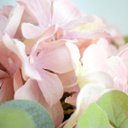 Ver imagem 2 de Flores artificiais Arranjo de Hortênsias Rosas no Vaso Bronze |Linha permanente Formosinha