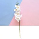 Ver imagem 3 de Flores Artificiais Haste de Orquídea Toque Real Branca|Linha permanente Formosinha