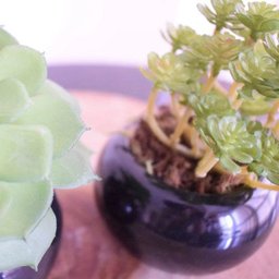 Flores Artificiais Kit com Dois Arranjos de Suculentas Permanentes |Linha permanente Formosinha - 7