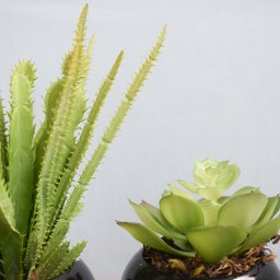 Flores Artificiais Kit com Dois Arranjos de Suculentas Permanentes |Linha permanente Formosinha - 10