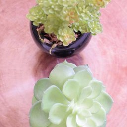 Flores Artificiais Kit com Dois Arranjos de Suculentas Permanentes |Linha permanente Formosinha - 8