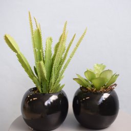 Flores Artificiais Kit com Dois Arranjos de Suculentas Permanentes |Linha permanente Formosinha - 9