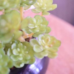 Flores Artificiais Kit com Dois Arranjos de Suculentas Permanentes |Linha permanente Formosinha - 4