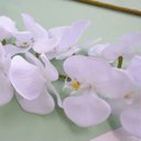 Ver imagem 7 de Kit 6 Orquídeas Artificiais Brancas Aveludadas com 7 flores