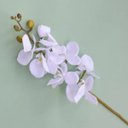 Ver imagem 2 de Kit 6 Orquídeas Artificiais Brancas Aveludadas com 7 flores