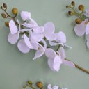 Ver imagem 4 de Kit 6 Orquídeas Artificiais Brancas Aveludadas com 7 flores