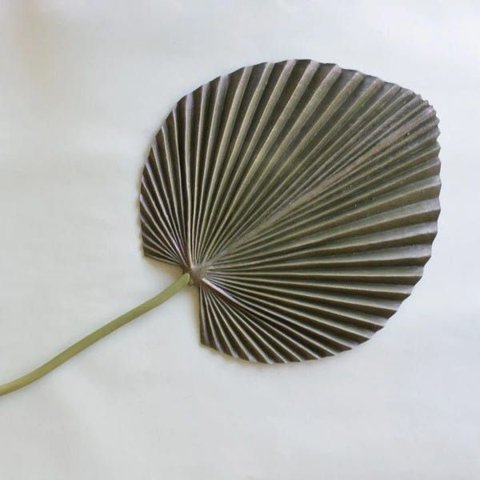 Folhas Permanentes | Folhagem de Palmeira Leque 3d Artificial