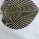 Ver imagem 4 de Folhas Permanentes | Folhagem de Palmeira Leque 3d Artificial