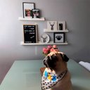 Ver imagem 2 de Porta Quadros prateleira nicho - 4 Peças