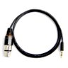 Cabo de Áudio Blindado Live Xlr Fêmea P3 Tripolar 6 Metros - 2