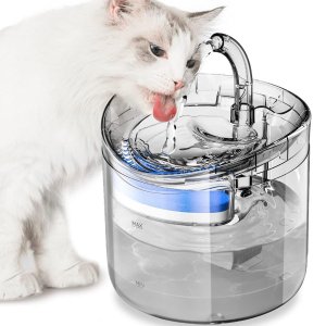 Fonte Bebedouro Agua Gato Pet Caes 2 Litros Automatico Silencioso Usb Bomba Filtro Petshop Hidrataça