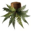 Ver imagem 1 de Kit de 3 Samambaias Artificiais Decorativas Aparência Natural Realista