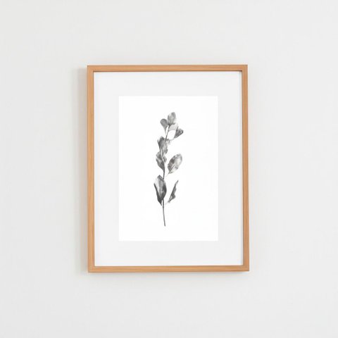 Quadro Decorativo Folhas Preto e Branco com Vidro e Paspatur 42,5 X 33 X 2 Cm | Formosinha