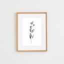 Ver imagem 1 de Quadro Decorativo Folhas Preto e Branco com Vidro e Paspatur 42,5 X 33 X 2 Cm | Formosinha