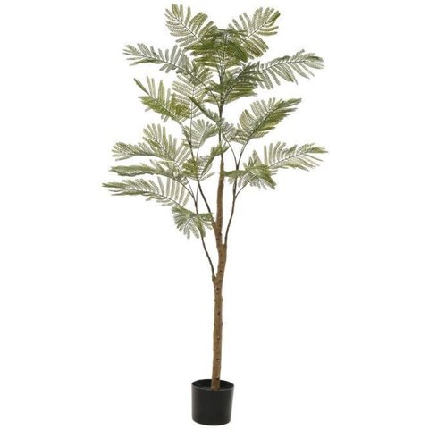 Planta Artificial Arvore Acaica C/pote Plastico X23 Verde 1,60cm