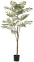 Ver imagem 1 de Planta Artificial Arvore Acaica C/pote Plastico X23 Verde 1,60cm