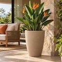 Ver imagem 2 de Vaso Alto para Plantas Tramontina Thai 50x67cm Polietileno g