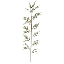 Ver imagem 1 de Planta Artificial Árvore Bambu Real Toque X297 Verde 180cm