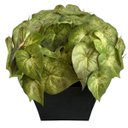 Ver imagem 1 de 12 Folhagens Caladium Verdes Artificiais Realistas para Vasos, Jardineiras e Decoração de Ambientes