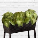 Ver imagem 3 de 12 Folhagens Caladium Verdes Artificiais Realistas para Vasos, Jardineiras e Decoração de Ambientes