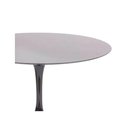 Ver imagem 5 de Mesa de Jantar Tulipa Saarinen 120 Cm Preto