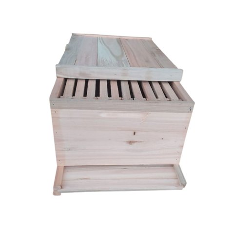 Ninho completo de EUCALIPTO padrão Langstrooth com quadros MADERVALIA Ninho com quadros Langstrooth 