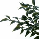 Ver imagem 3 de Kit com 10 Buquês de Mini Folhas Verde Escuro