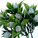 Ver imagem 2 de Kit com 10 Buquês de Mini Flor Branca com 3 Galhos