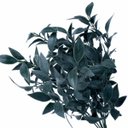 Ver imagem 2 de Kit com 10 Buquês de Folhagem Verde Escuro