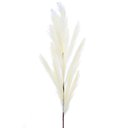 Ver imagem 1 de Capim Dos Pampas Decorativo Cor Bege 8,5cm