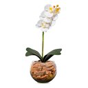 Ver imagem 3 de Centro Mesa Arranjo Completo Alto Orquídea Branca Artificial